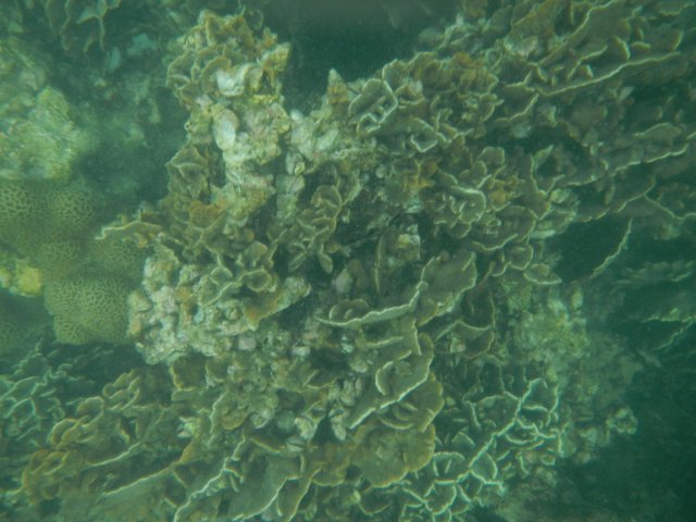 dscn1761
